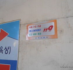 This picture was taken nearby a fish market.