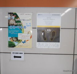 Stand firmly while standing on an escalator.