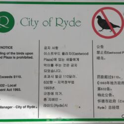 Minimum penalty is over A$110