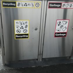 Such bins are everywhere in Sydney