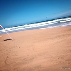 You should only swim between the flags